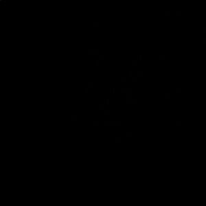 Meet your Posher, Rocy